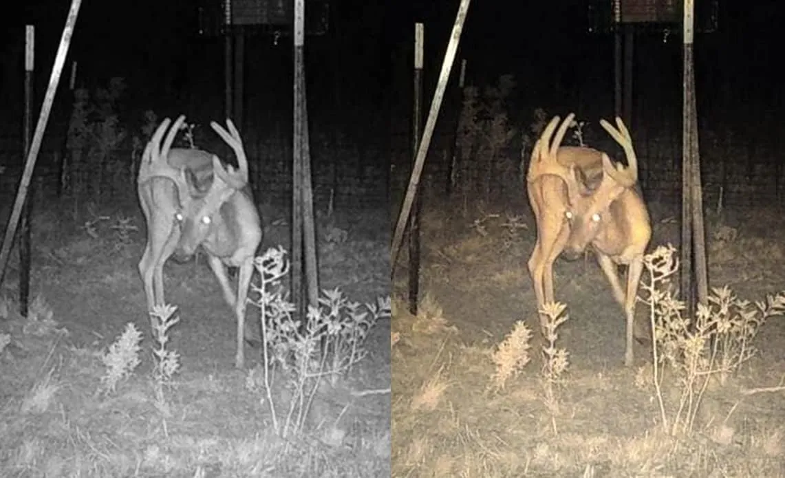 Stealth Cam Connect Outdoor Cellular Camera - Dual Network, 720p