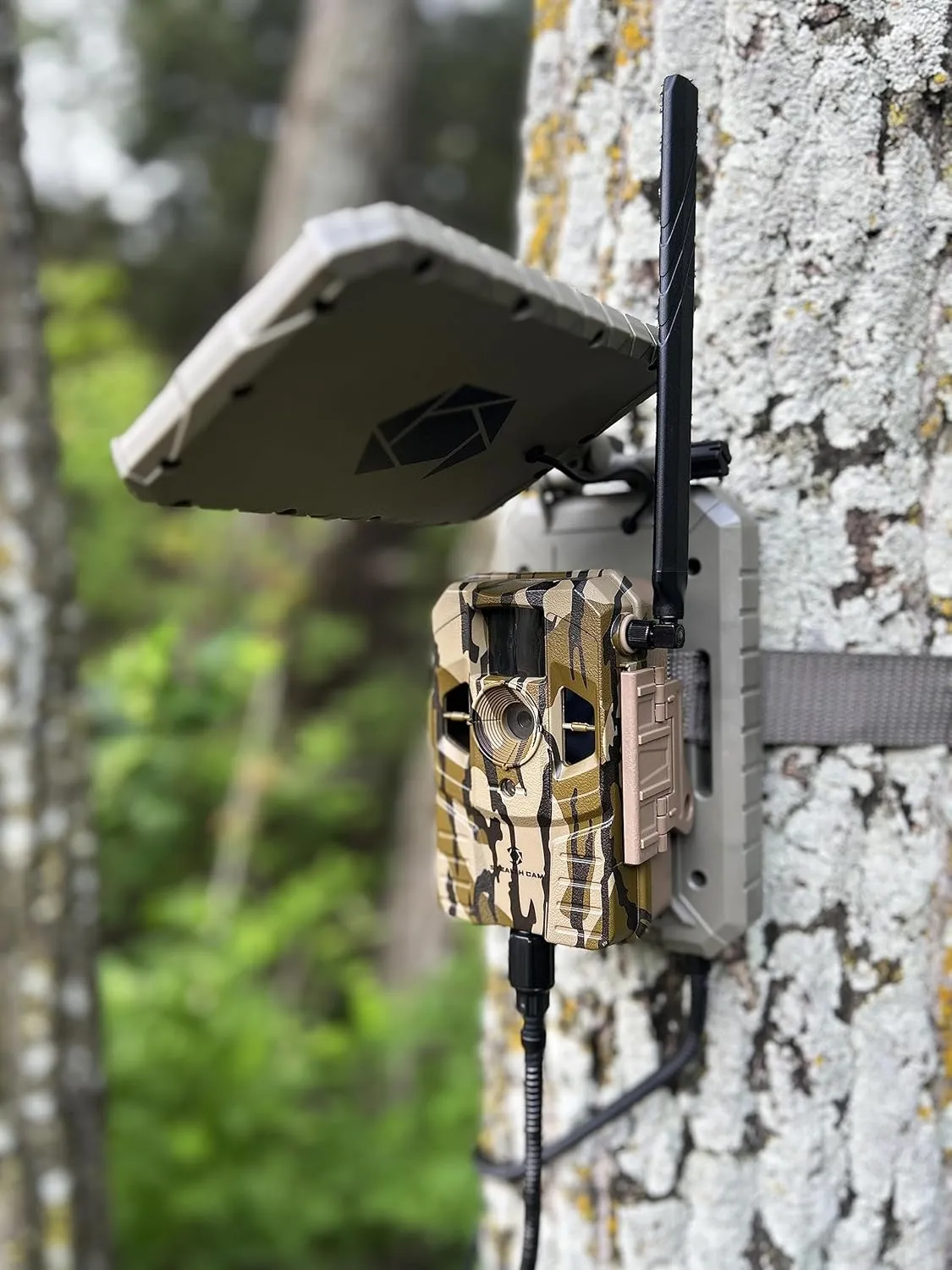 Stealth Cam Connect Outdoor Cellular Camera - Dual Network, 720p